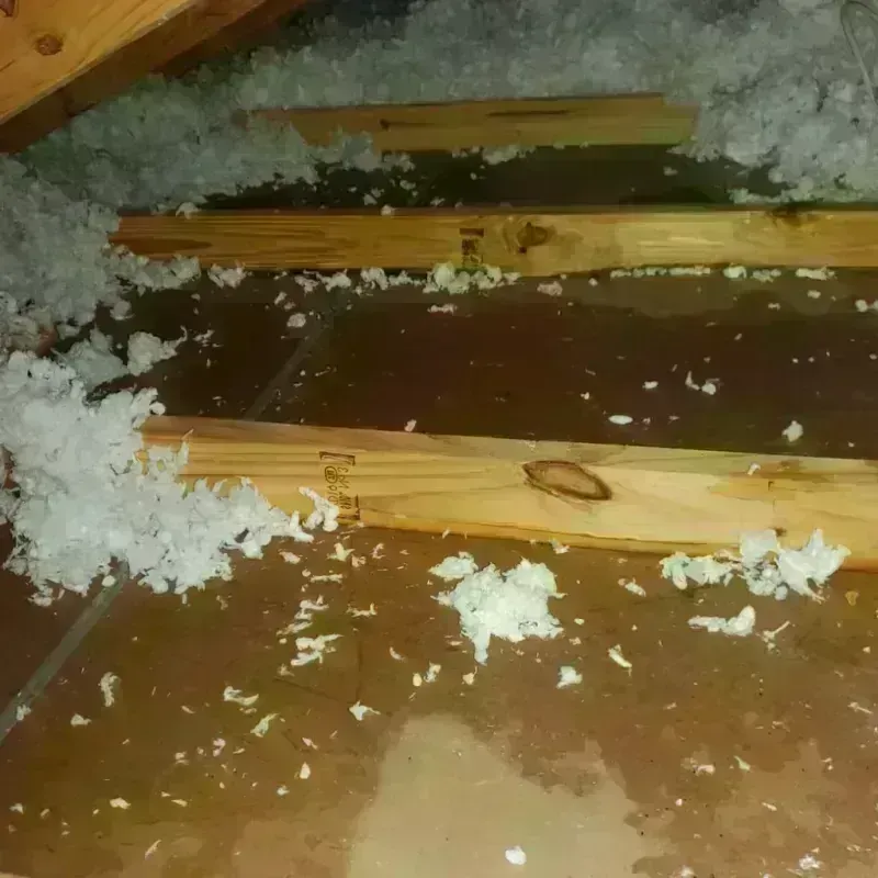 Attic Water Damage in Orange, MA