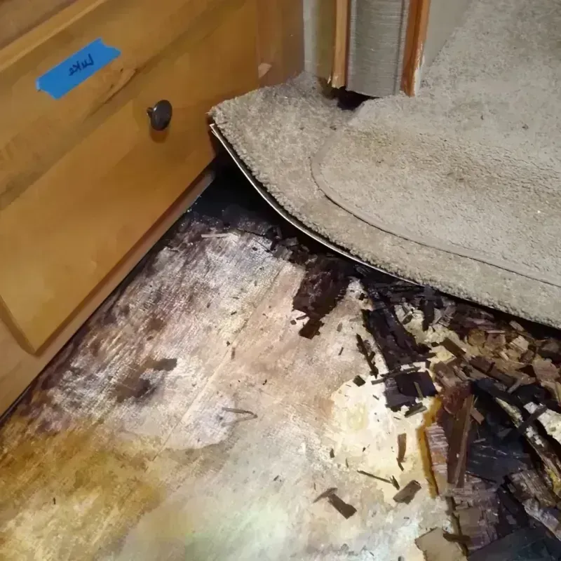 Best Wood Floor Water Damage Service in Orange, MA